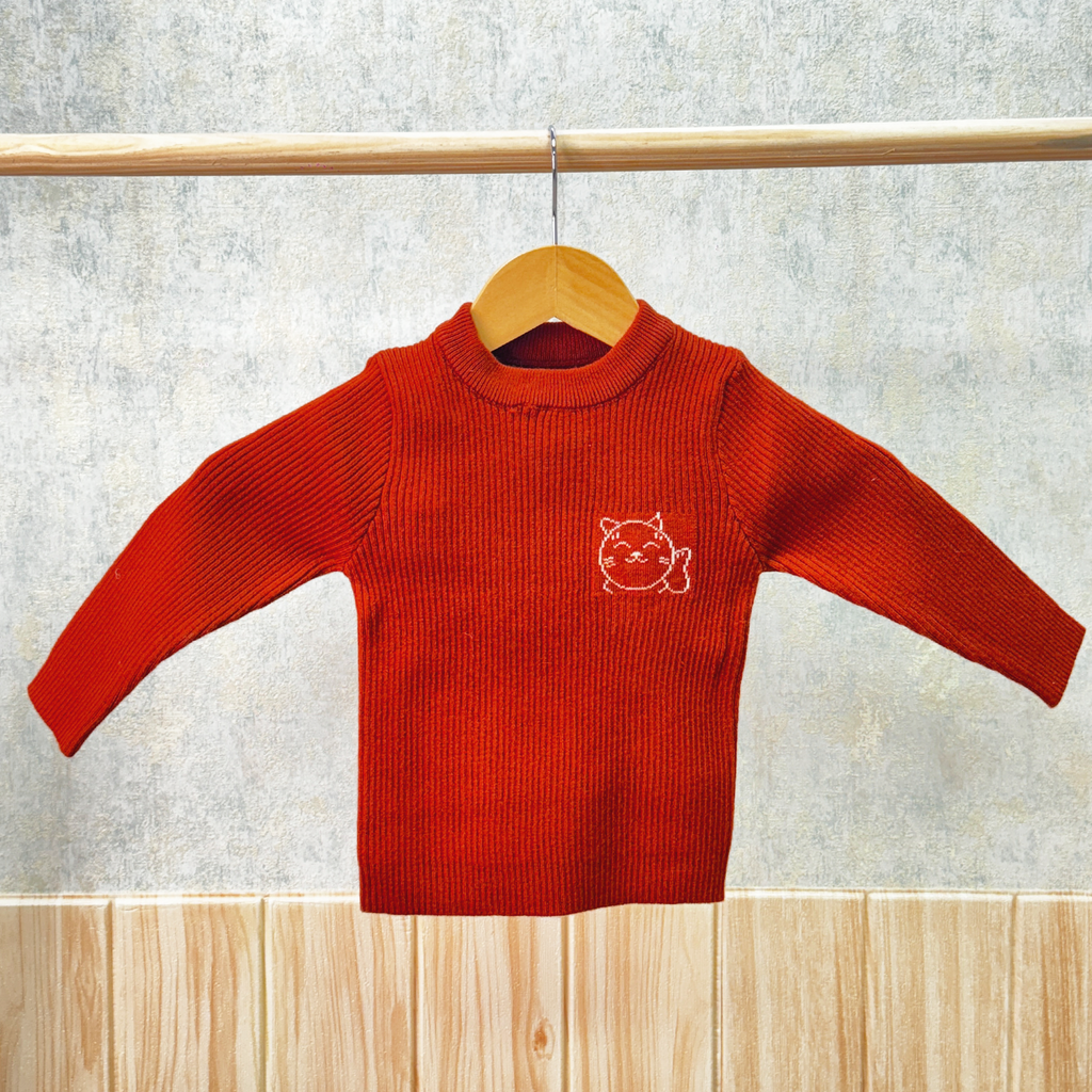 Winter Warm Woollen Full Sleeve Sweater For Baby - Pack of 1