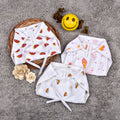 Organic Cotton Baby Muslin Nappies - Pack of 3